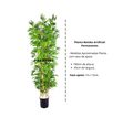 Bambu Mossô Artificial com Tronco Natural 180 cm com Vaso e Pedras